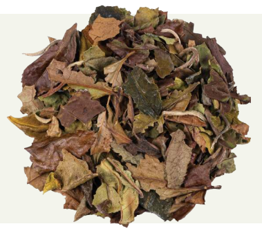 Tè bianco