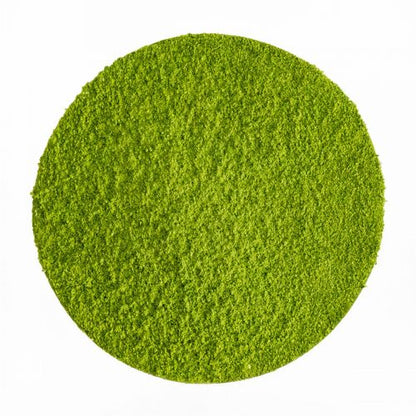 Tè Matcha Cerimoniale “Hisui” BIO