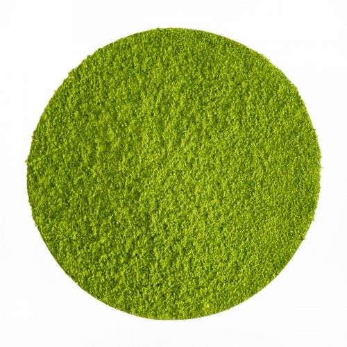 Tè Matcha Cerimoniale “Hisui” BIO