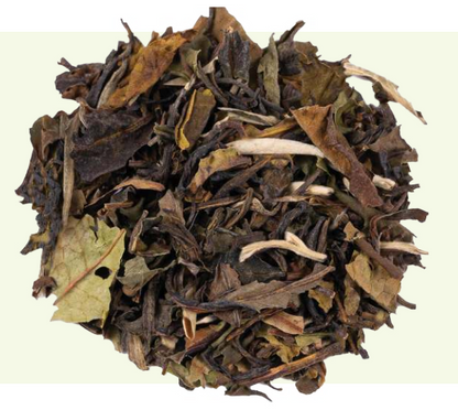 Box Degustazione Tè Bio “I Tradizionali”